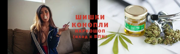 молекула духа Осинники
