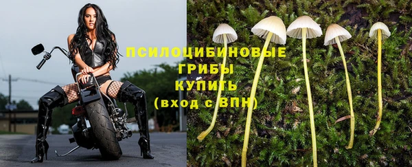 jwh Осташков