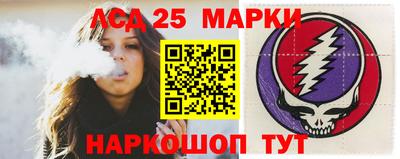гашик Аргун