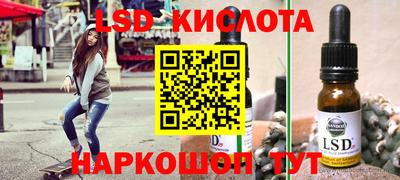 гашик Аргун