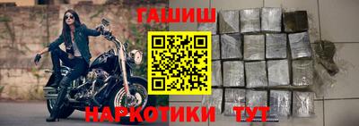 гашик Аргун