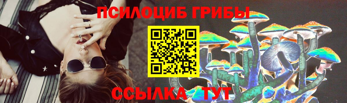 Галлюциногенные грибы Psilocybe Моздок